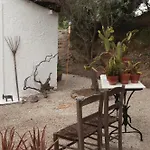 The Molos House