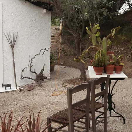 The Molos House