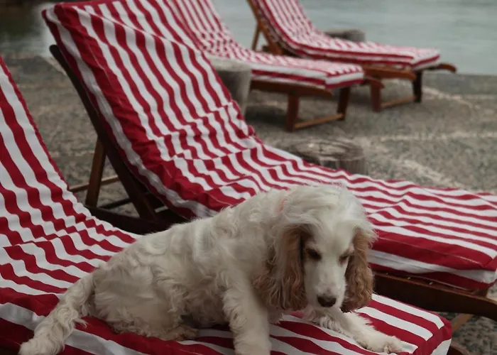 The Molos House * Porto Heli